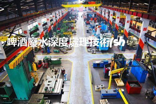 啤酒廢水深度處理技術(shù)探究與畢業(yè)設(shè)計實踐！